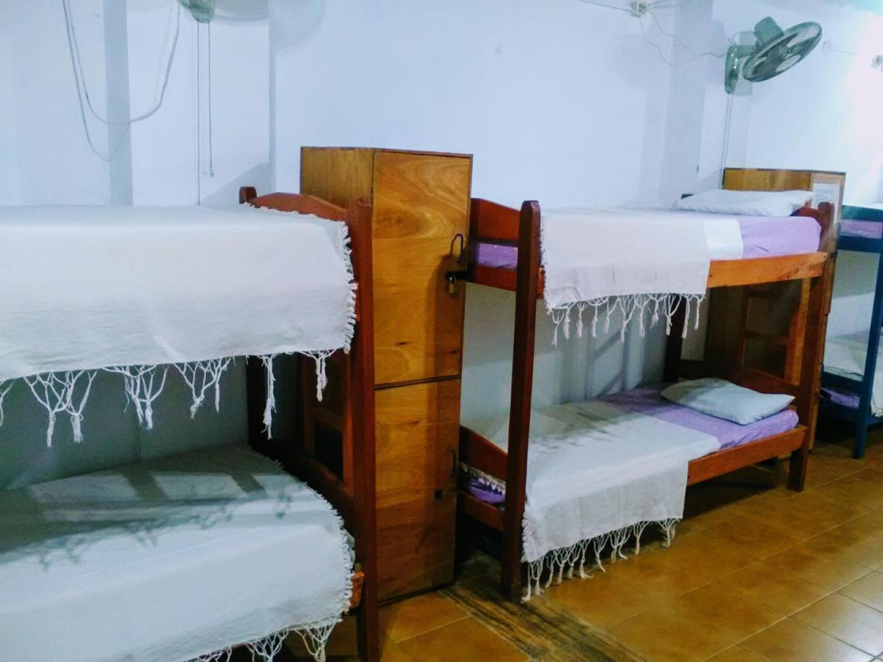 Black Cat Hostel Asuncion Exterior photo